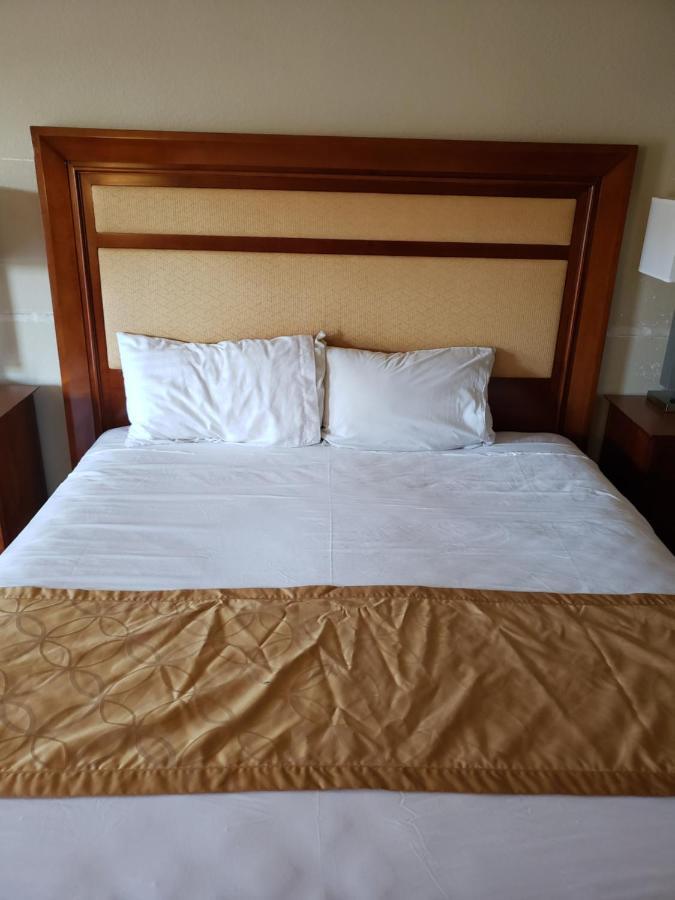 Hotel Knights 2*